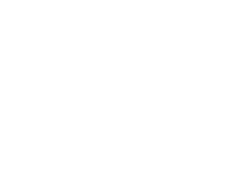 Toptracer Logo